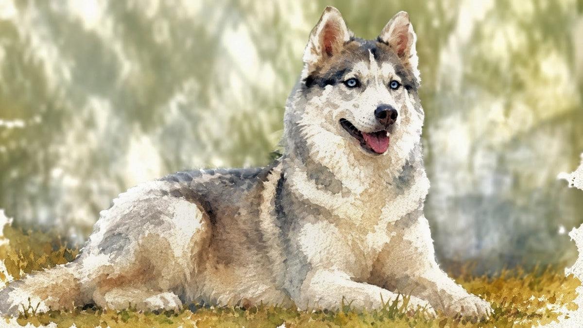 Watercolor Pet Portraits